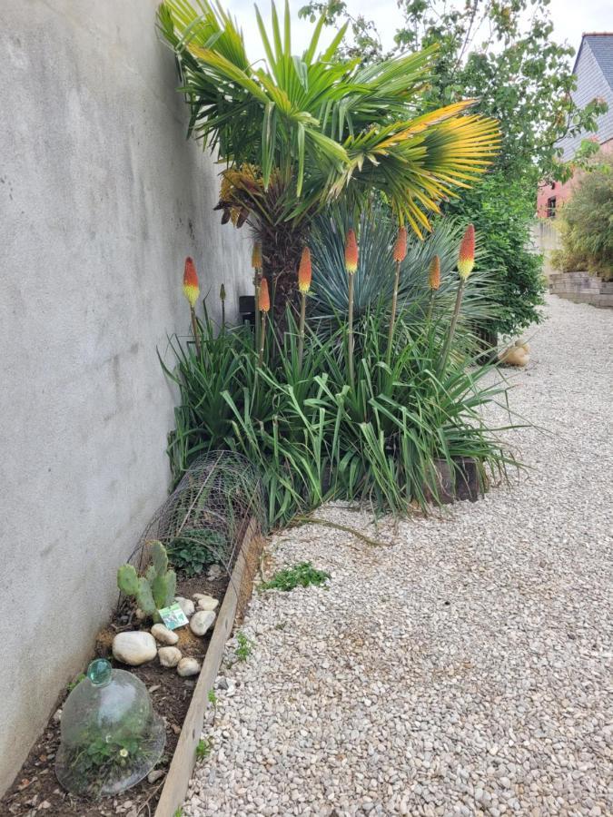 Tiny House Cosy 2 - Angers Green Lodge Exterior foto
